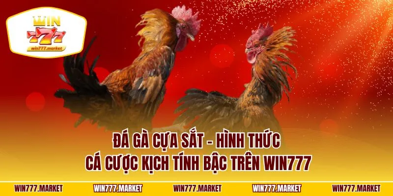 Đá Gà Cựa Sắt - Hình Thức Cá Cược Kịch Tính Bậc Trên WIN777