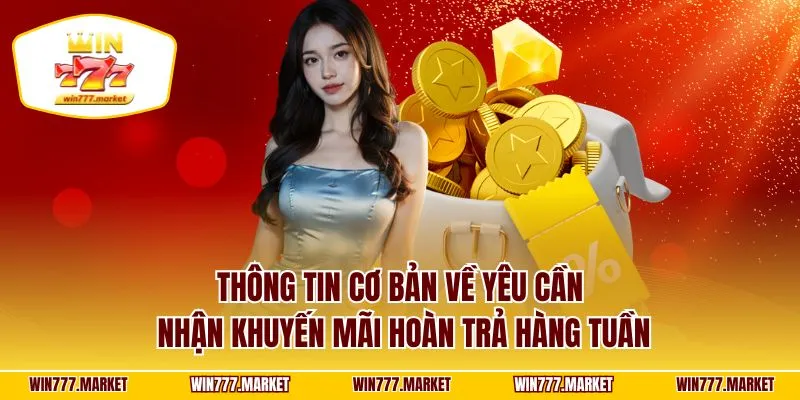 Thông tin cơ bản về yêu cần nhận khuyến mãi hoàn trả hàng tuần