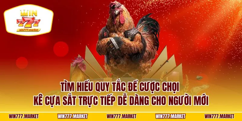 Tìm hiểu quy tắc để cược chọi kê cựa sắt trực tiếp dễ dàng cho người mới